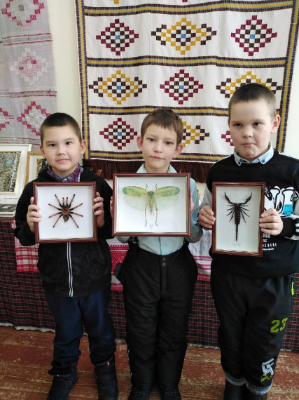 Выставка «Экзотических насекомых».